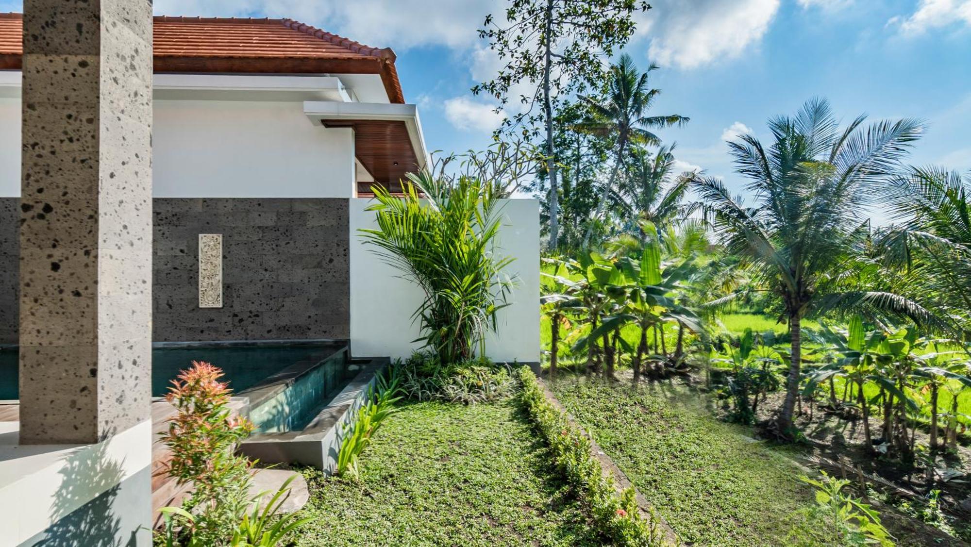 Padi Luwih Vila Ubud Exterior foto