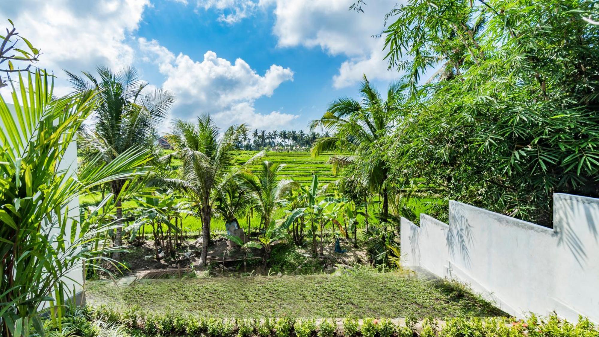 Padi Luwih Vila Ubud Exterior foto